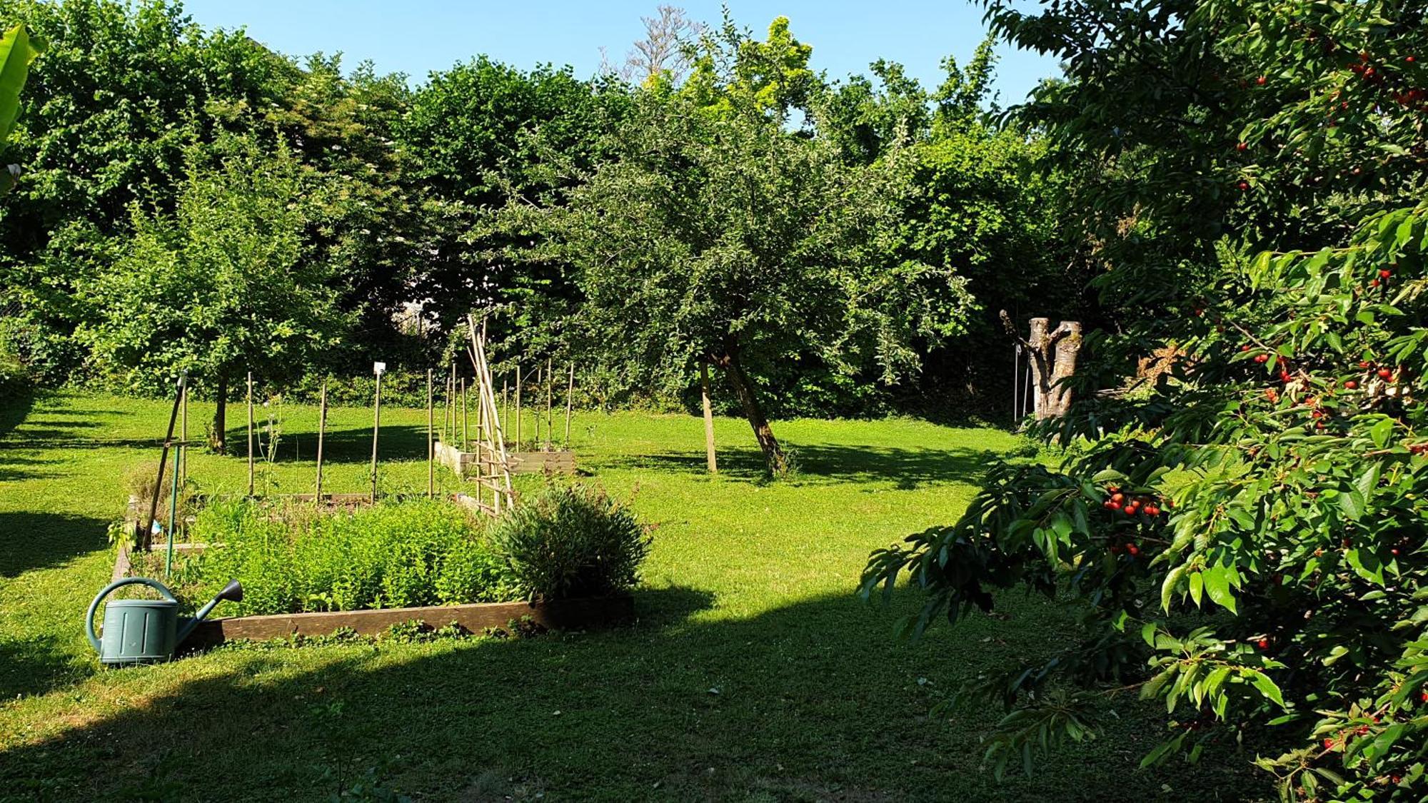 Gite 5 Personnes Fleurville Pokój zdjęcie
